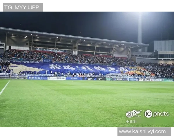 中超激战大连人迎战天津泰达争夺关键三分全力以赴展现球队实力